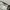 Vintage Y2K sunGlass blackout Wanita tan brown photo 6