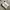 Casual Hoody Pria white photo 1
