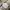 Casual Hoody Pria white photo 3