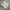 Casual Casual shirt Pria white photo 1