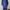 Beverly Hills Polo Club Casual Harrington jacket Pria navy photo 7