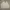 Polo Ralph Lauren Vintage Harrington jacket Pria tan photo 1