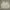 Polo Ralph Lauren Vintage Harrington Jacket Pria Tan