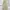 GAP Vintage Casual Formal pants Pria cream photo 1