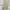 GAP Vintage Casual Formal pants Pria cream photo 2