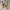 Schott NYC Vintage Biker Denim jacket Pria cream tan photo 1
