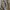 Schott NYC Vintage Biker Denim jacket Pria cream tan photo 6
