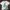 Streetwear Luxury T-shirt Pria white photo 4