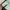 Streetwear Casual Windbreaker Pria green photo 8