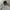 Jean-Michel Basquiat Indie Jumper Pria gray photo 3