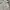 Jean-Michel Basquiat Indie Jumper Pria gray photo 7