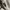 Jean-Michel Basquiat Indie Jumper Pria gray photo 5