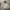 Jean-Michel Basquiat Indie Jumper Pria gray photo 1