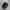 Nike Streetwear Sneakers Pria black photo 1