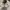 VANS Streetwear Skater Sneakers Pria khaki photo 3