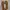 VANS Streetwear Skater Sneakers Pria khaki photo 4