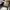VANS Streetwear Skater Sneakers Pria khaki photo 5