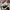 Nike Streetwear Sportswear Sneakers Pria brown photo 5