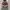 VANS Streetwear Sneakers Wanita pink photo 2