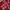 Casual Windbreaker Pria white red photo 6