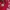 Casual Windbreaker Pria white red photo 3