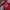 Casual Windbreaker Pria white red photo 7