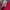Casual Windbreaker Pria white red photo 5