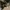 Adidas Streetwear Skater Sneakers Pria black photo 6