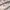 Urban Outfitters Casual Flat Wanita cream photo 1