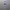 Adidas Sportswear Jersey Pria white photo 1