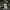 Carhartt Sportswear T-shirt Pria gray photo 4