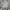 Japanese brand Minimalist Futurist T-shirt Pria gray photo 2