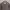 Avirex Vintage Leather jacket Pria brown photo 3