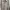 GAP Vintage Casual Leather Jacket Pria Tan