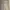 GAP Vintage Casual Leather jacket Pria tan photo 7