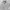 Teenie Weenie Vintage Casual Parka Wanita gray photo 3