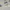 Teenie Weenie Vintage Casual Parka Wanita gray photo 5