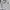 Teenie Weenie Vintage Casual Parka Wanita gray photo 1