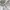 Adidas Sportswear Jersey Wanita white photo 5