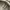 Carhartt Streetwear Y2K Hoody Pria gray photo 4