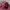 Streetwear Y2K Hat Pria Red