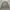 thisisneverthat Streetwear T-shirt Pria multicolor gray photo 1