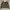 Levi's Casual Denim Jacket Pria Green Gray