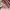 VANS Streetwear Sweater Pria multicolor photo 3