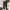3MONGKIS Casual Skinny jeans Wanita black gray photo 1