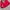Casual Sweatshirt Wanita red photo 3