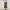 Japanese brand Vintage Y2K Skirt Wanita white black photo 8