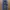 Mizuno Streetwear Y2K Tracksuit Pria Navy