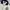 Polo Ralph Lauren Minimalist Casual Track jacket Pria white photo 6