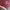 Casual Sweater Wanita pink photo 1